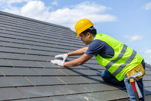 Roof Gutter Cleaning in Abingdon, IL